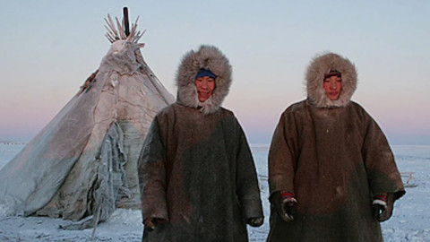 Оленеводы в тундре