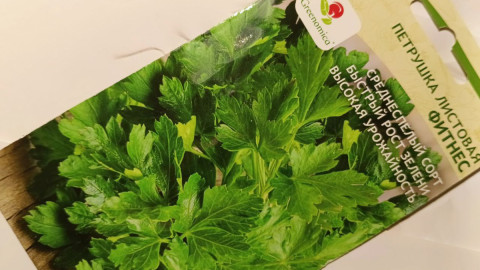 Пачка семян петрушки