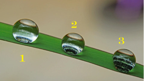 три капли воды