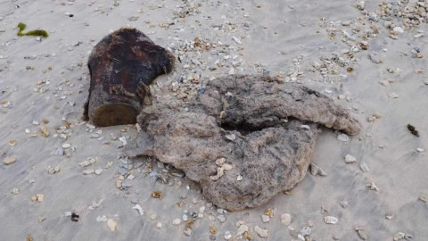 амбра из кишечника кашалота