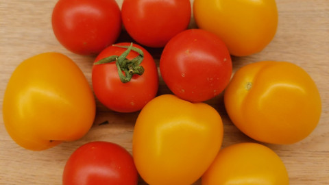 красные и желтые томаты