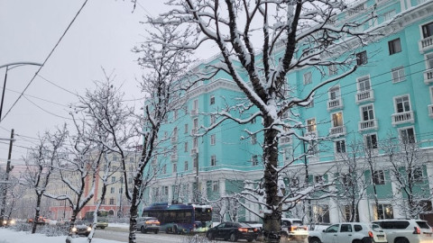 снег на деревьях в городе