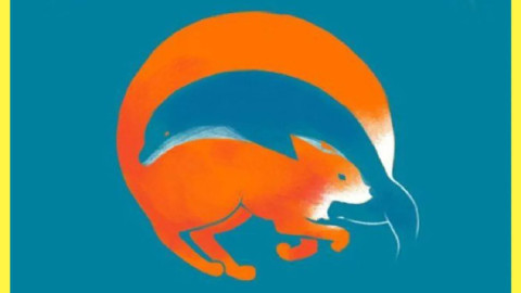 иллюзия с белкой и дельфином