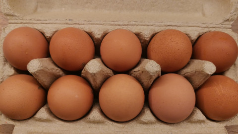 куриные яйца в лотке