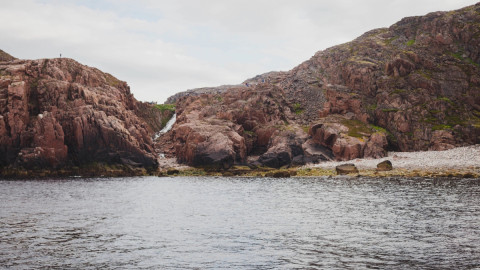 Мурманск вода моллюск природа экология