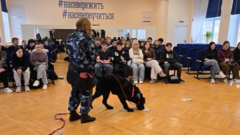 кинолог выступает с собакой