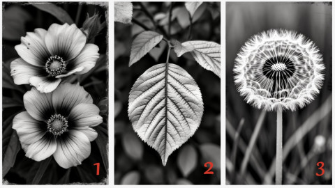 цветы и листок