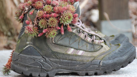 ботинок природа экология мурманск