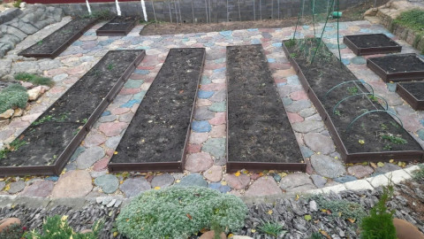 Дорожка на участке