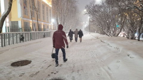 люди идут по улице зимой