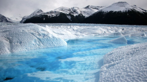 арктика природа климат