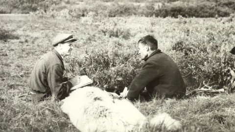 Мурманск история саамы