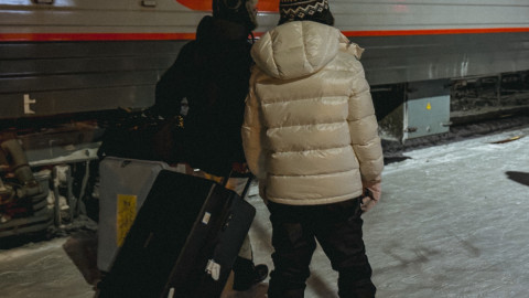 Туристы с чемоданом у поезда