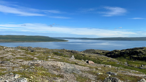 Арктика экология климат