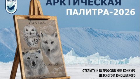 арктика конкурс дети искусство