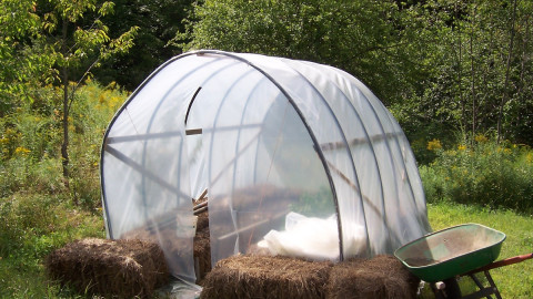 Теплица и тачка в саду