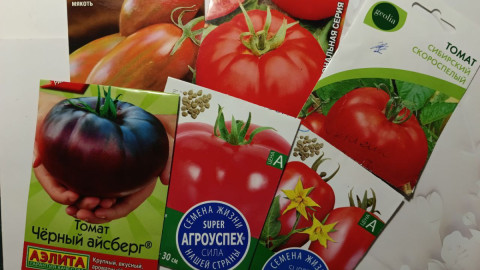 Упаковки с семенами томатов