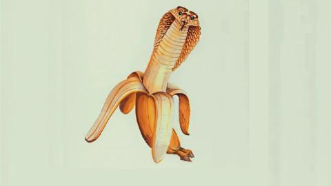 банановая змея