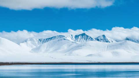 арктика климат экология