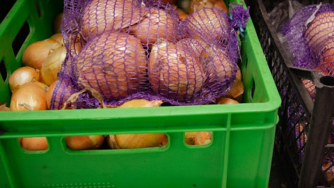 репчатый лук в сетке