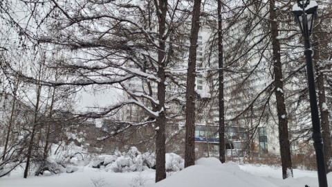 Зимний Мурманск