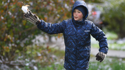 Ребенок играет в снежки