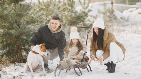 семья играет в снегу