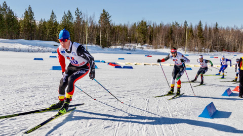 лыжи спорт апатиты мурманск