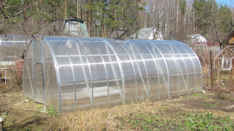 Теплица на весеннем огороде