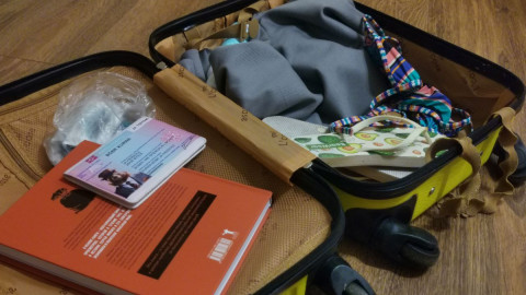 Чемодан для путешествий