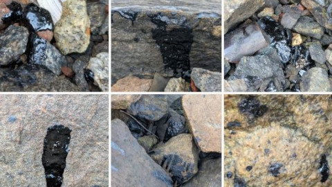 мурманск росляково экология