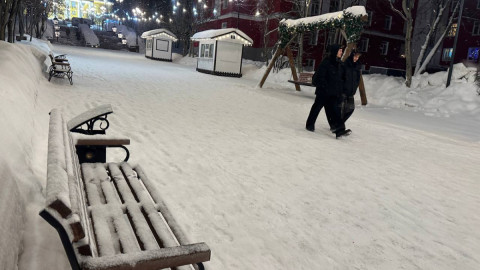 Заснеженная улица