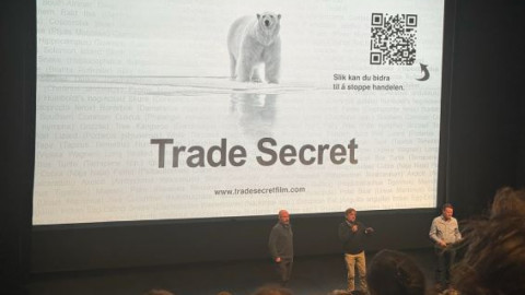 арктика шпицберген природа