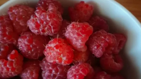 Чашка с малиной