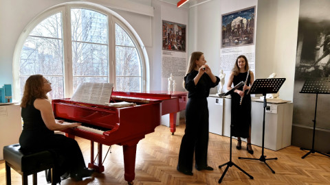 мурманск концерт музей колледж