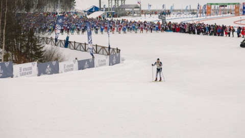 Мурманский лыжный марафон