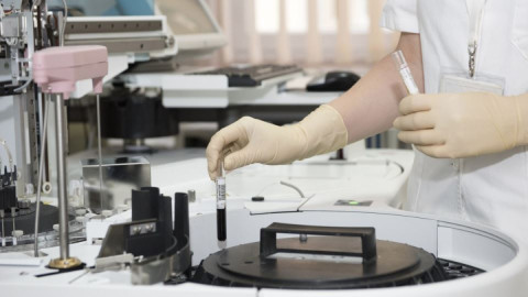 ученые арктика радиация