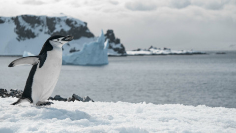 природа холод