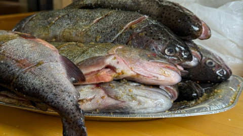 свежая рыба в тарелке