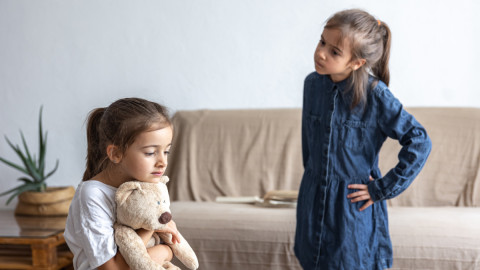 Девочки ссорятся