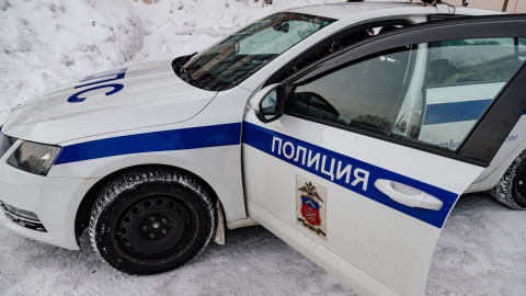 полицейская машина