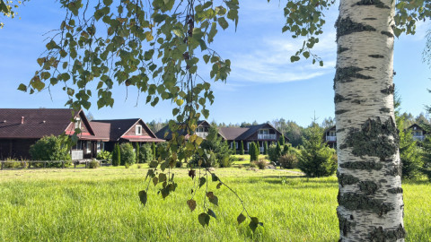 Лес и домики