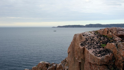 вид на Баренцево море