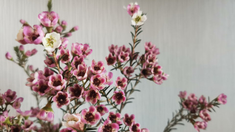 поделка цветы хобби музей мурманск