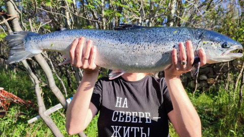 рыбалка саамы мурмаснк арктика