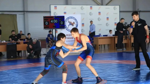 турнир дети борьба