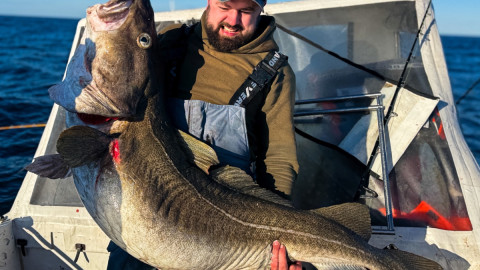 Треска в руках