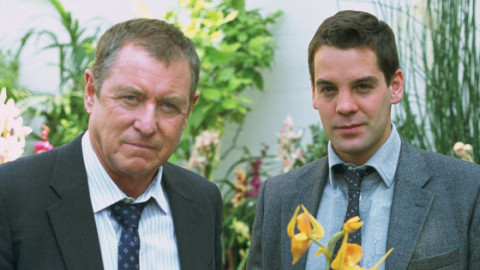 арктика орхидеи цветы космос