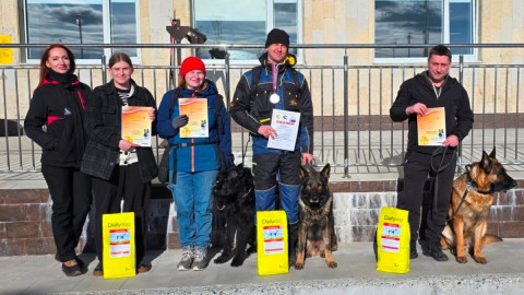 апатиты собака мурманск кинология