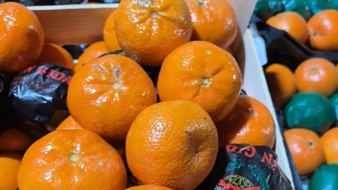 Отрава Мурманск овощи и фрукты